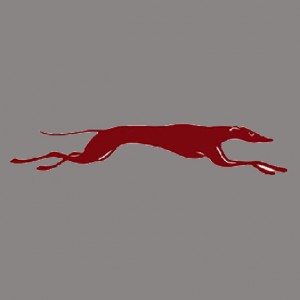 Greyhounds-colorSquare