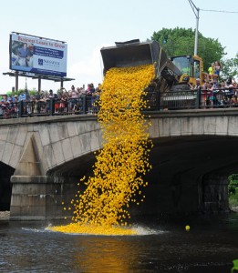 Thousands of rubber ducks are dumped off of the Whittemore Bridge in Naugatuck Sunday afternoon to start the annual Duck Race. –LUKE MARSHALL 