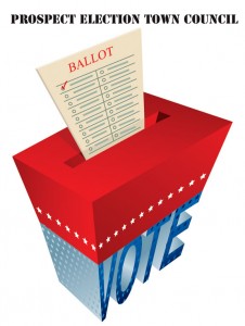 Election-Icon-2013