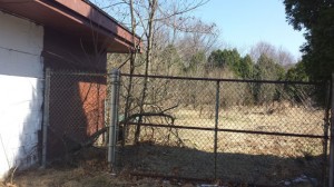 A community garden has been proposed to be built on this piece of land behind Cross Street Intermediate School in Naugatuck. –LUKE MARSHALL 
